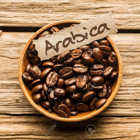 Do you know what Arabica Coffee Beans are? #coffee #cafe #kitchen #arabica #beans #facts Costa Rica Coffee, Bean Varieties, Coffee History, Love Cafe, Coffea Arabica, Arabica Coffee Beans, Coffee Facts, Coffee Plant, Green Coffee Bean