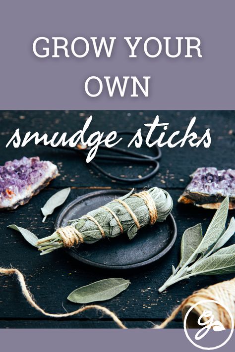 You can make a smudge stick and carry out your own rituals by growing and drying sage and other herbs. Click to learn how. Herb Smudge Sticks, Lavender Sage Smudge Sticks, How To Make Sage Bundles Smudge Sticks, How To Make Your Own Sage Smudge Stick, Lemongrass Smudge Stick, How To Make Smudge Bundles, Growing Sage For Smudging, How To Make A Smudge Stick Diy, Homemade Smudge Sticks