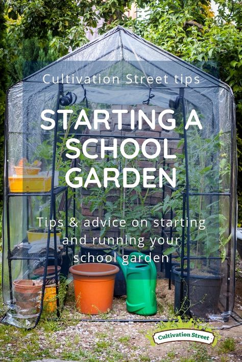 School Veggie Garden, School Greenhouse Ideas, Primary School Garden Ideas, Small School Garden Ideas, School Gardening Club Ideas, Middle School Garden, School Garden Layout, School Allotment Ideas, School Sensory Garden Ideas