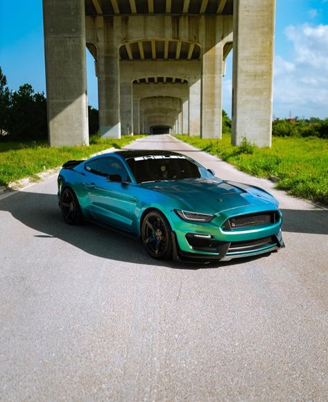 Wrapped Mustang, Widebody Mustang, Big Monster, Range Rover Car, Truck Wrap, Green Cars, Mustang 2015, Car Deco, Mustang Gt500