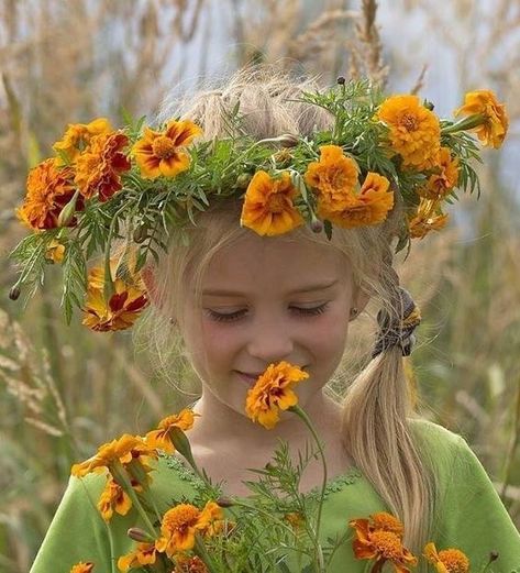 Swadhisthana Chakra, Nature Crown, Geraniums Red, Shasta Daisies, Flower Cottage, Zinnia Flowers, Marigold Flower, Flower Names, Language Of Flowers