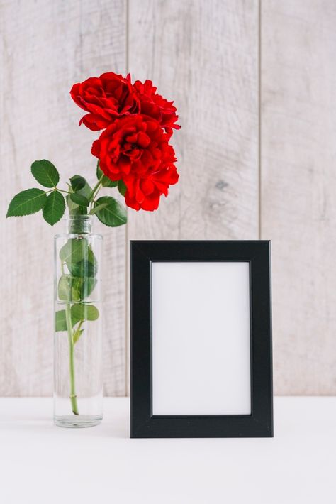 Blank Picture, Stock Photography Ideas, Gilded Glamour, Marshmello Wallpapers, Acrylic Photo Prints, Photo Frame Wallpaper, Floral Cards Design, Flowers In Vase, Flower Graphic Design