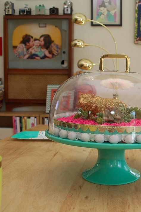 cakestand terrarium Cute Terrarium, Log Cake Stand, Fairy Baby Showers, Diy Cake Stand, Oh Joy, Living Under A Rock, Bear Cookies, Kids Crafting, Terrarium Diy