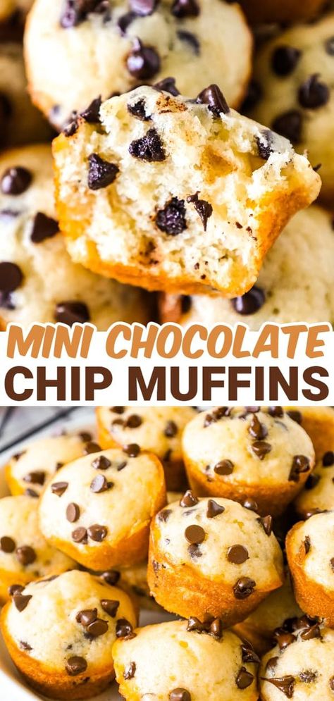 Easy Chocolate Chip Muffins, Chocolate Chip Mini Muffins, Mini Muffin Tin Recipes, Mini Muffin Recipe, Mini Chocolate Chip Muffins, Tin Recipes, Bite Size Snacks, Work Lunches, Lemon Bread