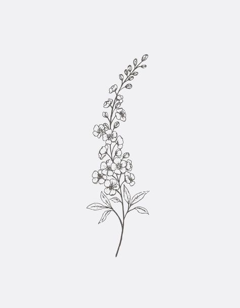 Delphinium Tattoo Black And White, Small Delphinium Tattoo, Larkspur Line Art, Bluebonnet Tattoo Black And White, Larkspur Fine Line Tattoo, Delphinium Embroidery, Delphinium Flower Drawing, Delphinium Illustration, Lilac Outline