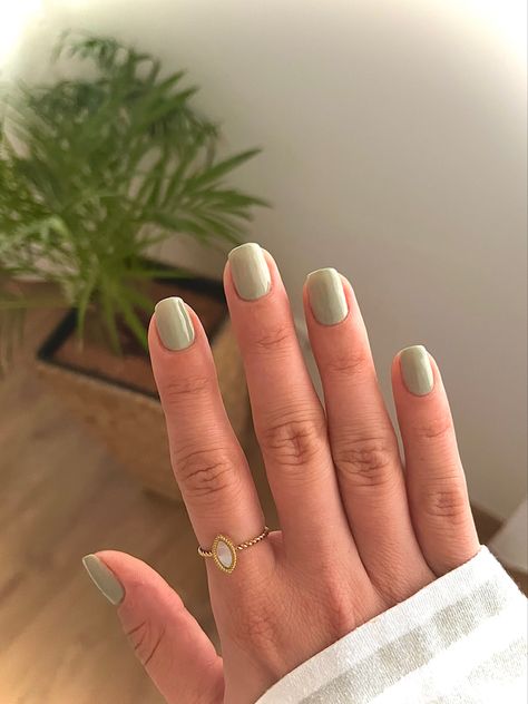 Green short nails Solid Colour Gel Nails Short, Short Nails Light Colors, Short Nails Plain Simple, Short Khaki Nails, Sage Green Natural Nails, Short Shellac Nails Fall, Short Nails Sage Green, Gel Nails Light Green, One Colour Nails Short