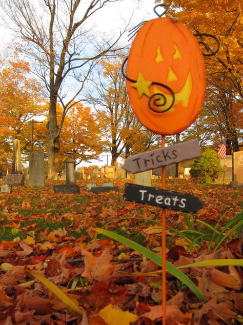 Tricks or treats halloween halloween pictures halloween images trick or treat Crunchy Leaves, Hallowen Ideas, 90s Halloween, Halloween Photo, Apple Trees, Autumn Magic, Night Photo, Lawn Sign, Creepy Crawlies