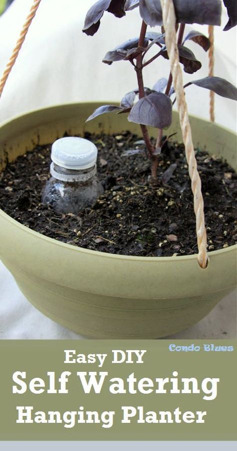 A quick and easy step by step tutorial how to make a DIY self watering hanging herb garden or flower pot. A small space garden solution! Diy Self Watering, Diy Self Watering Planter, Hanging Herb Gardens, Indoor Herb Garden Diy, Small Space Garden, Small Flower Gardens, Self Watering Containers, Hanging Herb Garden, Space Garden