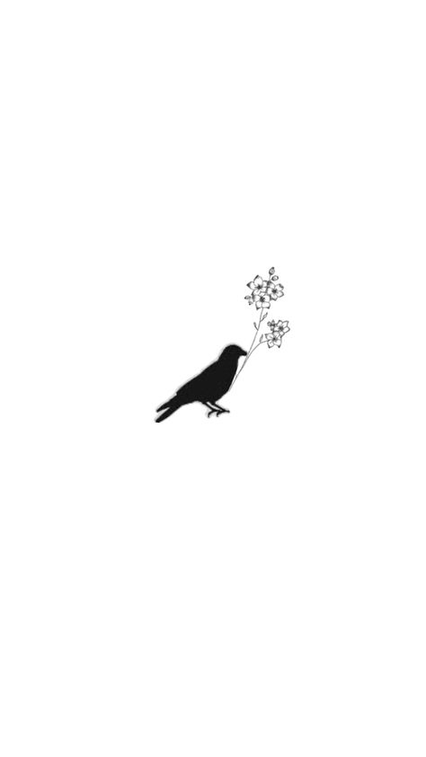 Dainty Crow Tattoo, Raven Tattoo Minimalist, Small Crow Tattoo For Women, Black Bird Tattoos For Women, Small Raven Tattoos For Women, Simple Crow Tattoo, Simple Raven Tattoo, Small Crow Tattoo, Small Raven Tattoo