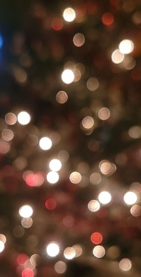 Christmas tree lights Blurred Christmas Tree Background, Christmas Tree Wallpaper, Blurred Lights, Christmas Tree Background, Christmas Tree Lights, Tree Lights, Christmas Tree Lighting, Christmas Lights, Christmas Tree