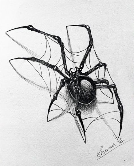 Eye Spider Drawing, Cute Spiders Drawings, Spider Pen Drawing, Scary Spider Drawing, Gothic Spider Tattoo, Spider Webs Drawing, Spiderweb Sketch, How To Draw A Spider, Spider Concept Art