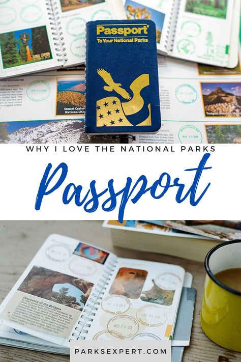 National Park Souvenirs, National Park Souvenir Ideas, National Park Passport, Usa Trip, Summer Reading Program, Camping Places, Passport Stamps, National Parks Map, Hiking National Parks