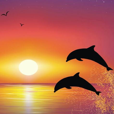 Dolphins at sunset Dolphin Sunset Painting, Easy Abstract Art, Dolphin Painting, Cute Easy Paintings, Sunset Canvas Painting, Easy Landscape Paintings, Silhouette Painting, Soyut Sanat Tabloları, Cartoon Painting