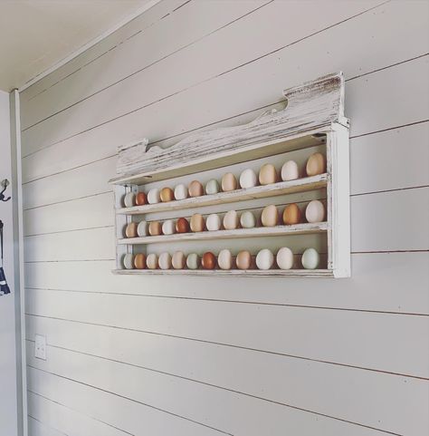 Egg Holder Diy, Blown Eggs, Egg Display, Shelf Arrangement, Farm Eggs, Egg Storage, Backyard Farming, Egg Holder, Chicken Coop