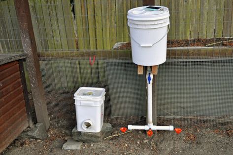 5 Gallon Bucket Chicken Waterer, Diy Chicken Waterer 5 Gallon Buckets, Homemade Chicken Waterer, Pvc Chicken Waterer, Homemade Chicken Feeder, Heated Chicken Waterer, Chicken Waterer Diy, Pvc Chicken Feeder, Reban Ayam