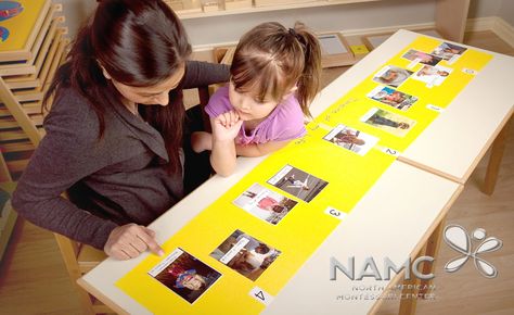 NAMC Montessori history timelines lower elementary. Montessori Lower Elementary, Montessori History, Elementary History, Montessori Elementary, Time Line, House Family, Montessori Ideas, Video Lessons, Elementary Classroom