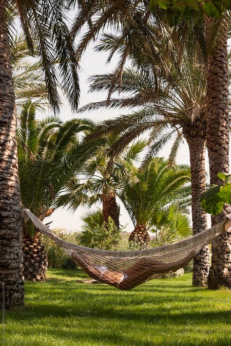 Palm Tree Hammock, Hammock Garden, Hammock Ideas, Family Vision, Fern Garden, Tropical Islands Paradise, Woman Relaxing, Sanctum Sanctorum, Diy Hammock