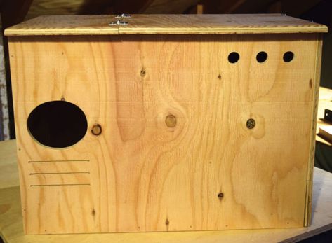 Build a Simple Owl Dwelling - Grit Owl Box Plans, Oscillating Spindle Sander, Simple Owl, Diy Owl, Owl Box, Door Images, Kayak Rack, Barred Owl, Sanding Block