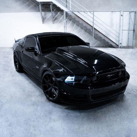 All Black Mustang, 2013 Mustang Gt, Mustang 2014, Ford Gt500, 2013 Mustang, Black Mustang, 2014 Mustang, Ford Mustang Car, Ford Mustang Shelby Gt500