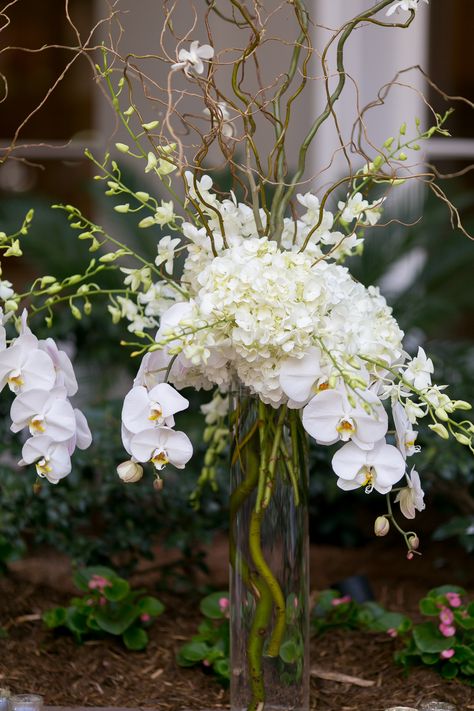 White Hydrangea and Cymbidium Orchid Centerpiece Hydrangea Orchid Centerpiece, Orchid And Hydrangea Centerpiece, Hydrangeas And Orchids, White Hydrangea Arrangements, Orchid Wedding Centerpieces, White Orchid Arrangement, Orchid Decoration, White Orchid Centerpiece, Orchid Centerpieces Wedding