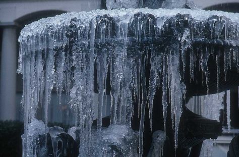 This happens to our fountain every year! Olgierd Von Everec, Chronicles Of Narnia, Disney Aesthetic, Princess Aesthetic, Fantasy Aesthetic, Snow Queen, Ice Queen, Disney Films, Hawkeye