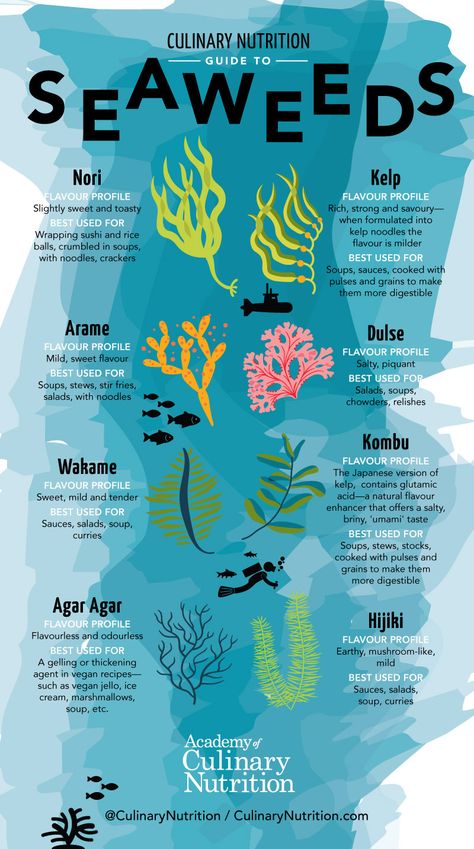 Guide to Seaweeds and Sea Vegetables + Recipes Benefits Of Seaweed, Marine Creatures, Sea Vegetables, Biology Notes, Irish Sea, Haiwan Peliharaan, Nutrition Guide, Sea Moss, Marine Biology