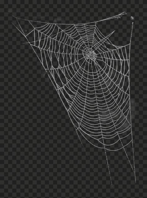 Spider Web Drawing, Geometric Line Tattoo, Spiderman Web, Halloween Web, Website Color Palette, Bulb String Lights, Nature Hd, Embroidery Template, Tattoo Style Drawings