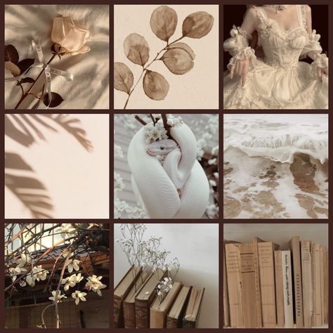 Mood Boards Nature, Moth Moodboard, Moodboard Adopt, Pretty Moodboards, Brown Moodboard, Moodboard Inspo, Adopt Idea, Moodboard Inspiration, Oc Inspo