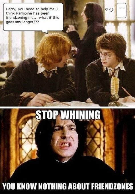 Funny Harry Potter Snape Meme Potter Stinks, Snape Meme, Severus Sneep, Meme Harry Potter, Citate Harry Potter, Glume Harry Potter, Funny Harry Potter Jokes, Harry Potter Memes Hilarious, Friend Zone