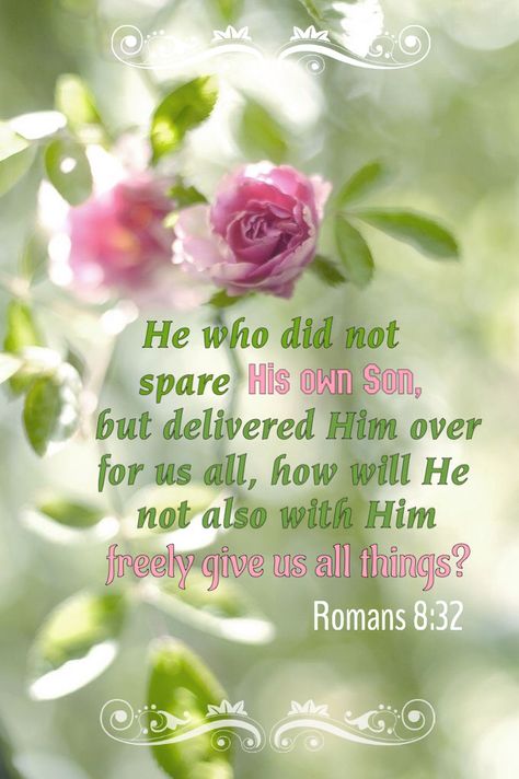 Romans 8:32 (KJV) He that spared not his own Son, but delivered him up for us all, how shall he not with him also freely give us all things? Proverbs 29 25, Romans 8 32, Romans 2, He Is Lord, Proverbs 29, Living Photo, Beautiful Scripture, Romans 8, Jesus Calling