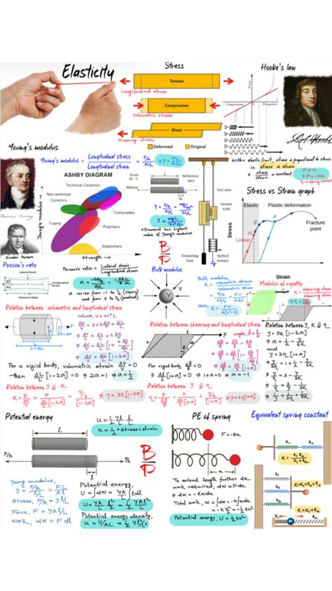 Iammoumin Basic Physics, Class 11, Physics, Elastic