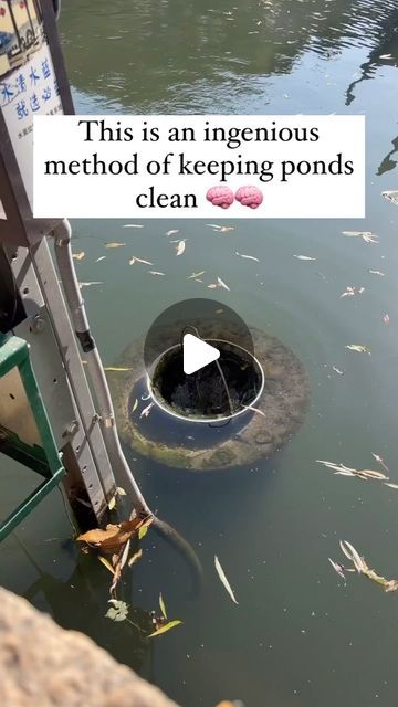 THE REGROWTH PROJECT on Instagram: "Simply had to share this ingenious method of keeping ponds clean. I clean a bag of trash daily but if we had these everywhere I might just be out of business - seamless how it just collects the garbage over time and gets the job done. Excellent stuff, 5/5, might have to get into the installation game with these bad boys." Pond Cleaning, Me Clean, Ponds, Get The Job, A Bag, Good News, To Share, Spirituality, Camping