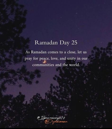 Ramadan Day 25, Ramadan 2024, Quotes From Quran, 30 Quotes, Ramadan Images, Ramadan Day, Pray For Peace, Let Us Pray, Ramadan Quotes