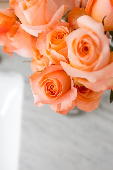 - Peach Aesthetic Flowers, Peach Rose Aesthetic, Peach Roses Aesthetic, Peach Coloured Flowers, Peach Roses Wallpaper, Orange Aesthetics, Orange Roses Aesthetic, Apricot Roses, Coral Flower