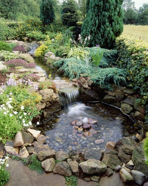 10 Best Garden Pond-Building Practices: You Get More Value From Shallow Ponds Than From Deep Ones Pond Building, Kolam Koi, Garden Ponds, Garden Pond Design, Garden Water Feature, Small Pond, Fountains Backyard, Garden Waterfall, Pond Waterfall