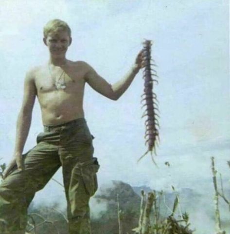 A United States Soldier Holds Up A Giant Jungle Centipede During The Vietnam War, 1967 Hue Vietnam, Rare Pictures, American Soldiers, Vietnam Veterans, University Of Michigan, Rare Photos, Historical Photos, American History, Einstein