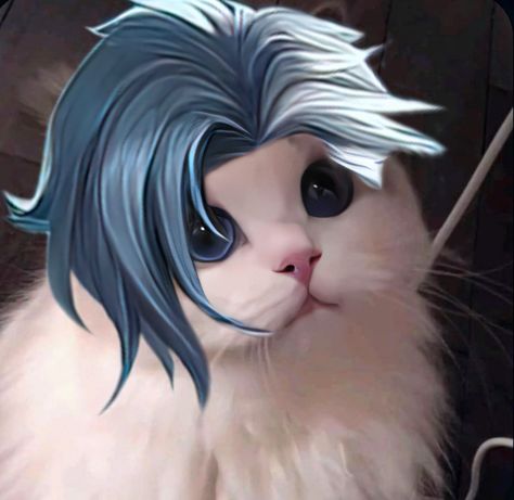 𝑴𝒍𝒃𝒃 𝒄𝒂𝒕 Aamon Mlbb Pfp, Mlbb Cat Pfp, Amon Mlbb., Mlbb Cat Icon, Mlbb Aamon, Aamon Mlbb, Minecraft Skins Blue, Mobile Legends Cosplay, Legend Cat