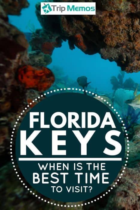 When Is The Best Time To Visit The Florida Keys? Article by TripMemos.com #TripMemos #Trip #Memos #Travel #Florida Keys Florida, Snorkel Gear, Travel Florida, Maui Vacation, Usa Travel Guide, The Florida Keys, Visit Florida, World Images, Time To Go