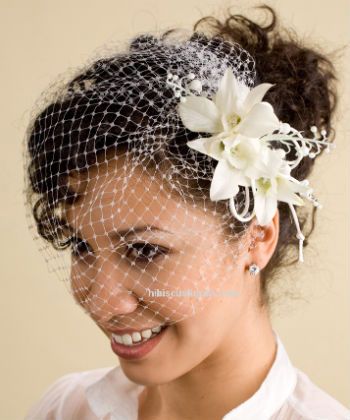 white birdcage veil with curly hair White Dendrobium Orchids, Birdcage Wedding, White Fascinator, Face Veil, Curly Wedding Hair, Fascinator Hairstyles, Birdcage Veil, White Feather, Wedding Hairstyles Updo