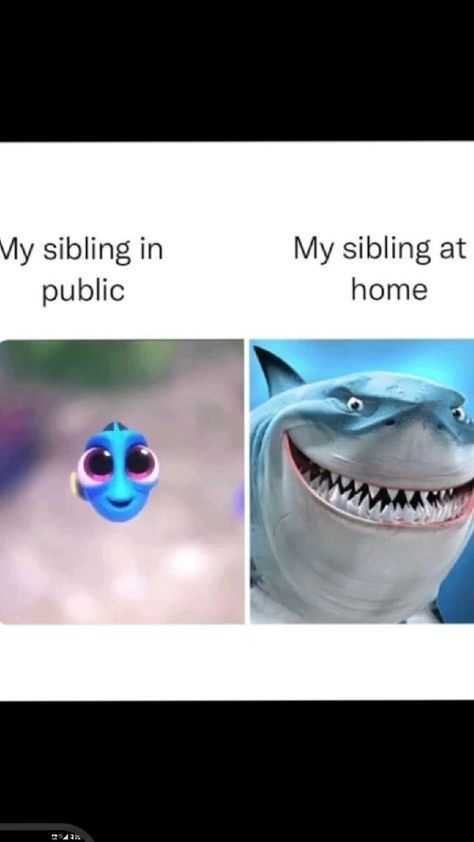 Memes Sisters Sibling, Funny Siblings Memes Humor, Sister Memes Sibling, Funny Sibling Memes Hilarious, Put A Finger Down Sibling Edition, Things To Send To Your Sister, Relatable Sister Things, Sibling Memes Hilarious, Siblings Meme Funny