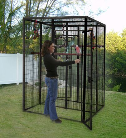 Birds Cage Ideas Outdoor, Bird Aviary For Sale, Outdoor Aviary, Macaw Cage, Aviary Ideas, Unusual Pets, Diy Bird Cage, Birds Cage, Flight Cage