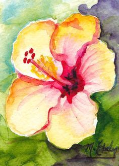 Hawaiian Flower Drawing, Hibiscus Drawing, Hibiscus Flower Drawing, Hawaii Painting, Hawaii Flowers, Flower Water, Canvas Painting Designs, Watercolor Flower Art, Cute Paintings