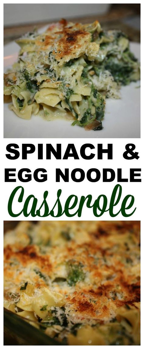 Spinach And Egg Noodle Casserole Recipe #recipe #casserole #dinner Spinach Noodle Casserole, Egg Noodle Casserole, Spinach Noodles, Egg Noodle Recipes, Noodle Casserole Recipes, Spinach Casserole, Spinach Egg, Noodle Casserole, Quick Dinners