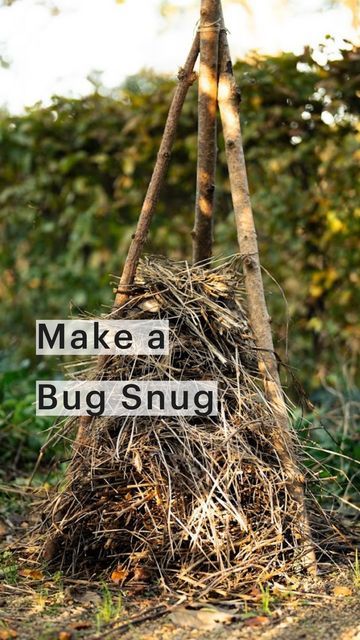 Bug House Ideas, Bug Garden Ideas, Wildlife Garden Ideas Uk, Rewilding Garden, Bug Hotel Ideas, Wildlife Garden Ideas, Verge Garden, Pollinator Habitat, Garden Habitat