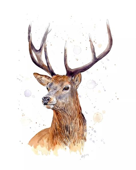 Selling the original watercolour of this majestic Stag! see my facebook page for more info. #stag #watercolour #artsale #interiordesign #interiors #watercolourpainting #countrylife #countryart Stag Art, Red Boots, Country Art, Facebook Page, Watercolour Painting, Original Watercolors, Art For Sale, Watercolor Painting, Art Inspo