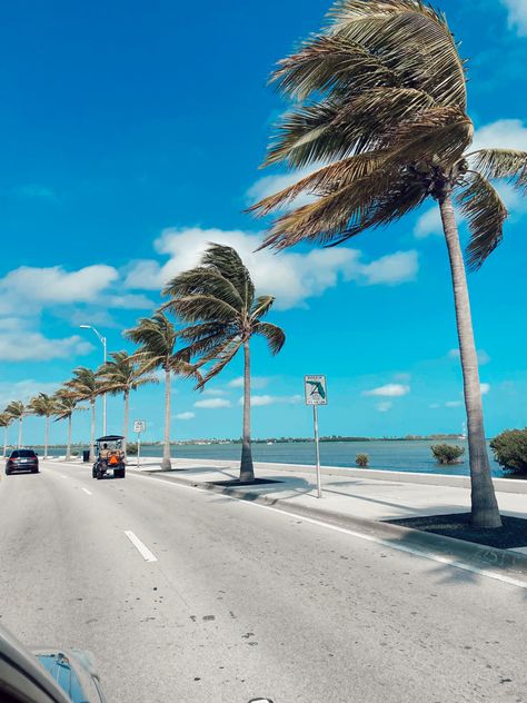 Key Largo Aesthetic, Florida Vibes Aesthetic, Key West Florida Aesthetic, Florida Keys Aesthetic, Key West Aesthetic, Flordia Keys, Fl Aesthetic, Keys Aesthetic, Keywest Florida