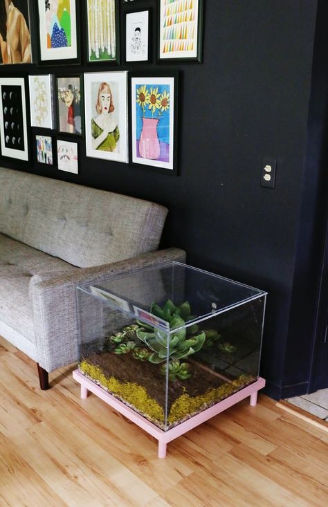 Terrarium Side Table DIY Old Aquarium Ideas Diy Upcycle, Faux Terrarium, Side Table Diy, Terrarium Table, Plant Witch, Terrariums Diy, Koti Diy, Inside Garden, Diy Side Table