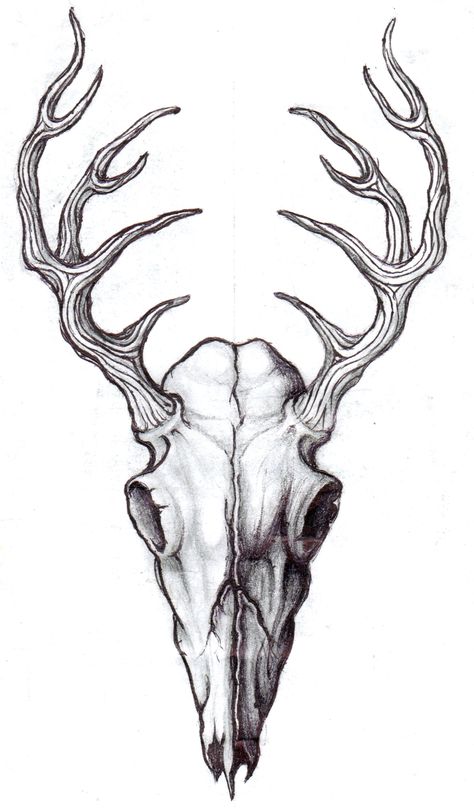 An elk skull design for a tattoo pattern Stag Skull Tattoo Design, Horned Skull Tattoo, Elk Head Tattoo, Deer Skull Chest Tattoo, Elk Skull Drawing, Moose Skull Tattoo, Stag Skull Tattoo, Elk Skull Tattoo, Animal Skull Tattoo Design