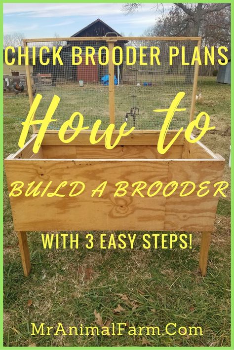 FREE Chick brooder plans.  Learn how to make a chick brooder that is great for use outside. Diy Quail Brooder, Turkey Brooder Ideas, Brooder Box Ideas Diy, Brooder Box Ideas, Chicken Brooder Ideas, Chick Brooder Ideas, Brooder Coop, Diy Chicken Brooder, Quail Brooder