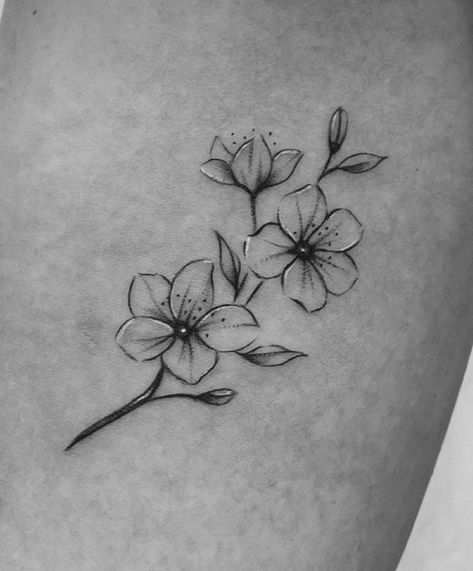 Dogwood Tattoo, Dogwood Flower Tattoos, Zwilling Tattoo, Jasmine Tattoo, Flower Vine Tattoos, Arrow Tattoos For Women, Pearl Tattoo, Flor Tattoo, Secret Tattoo